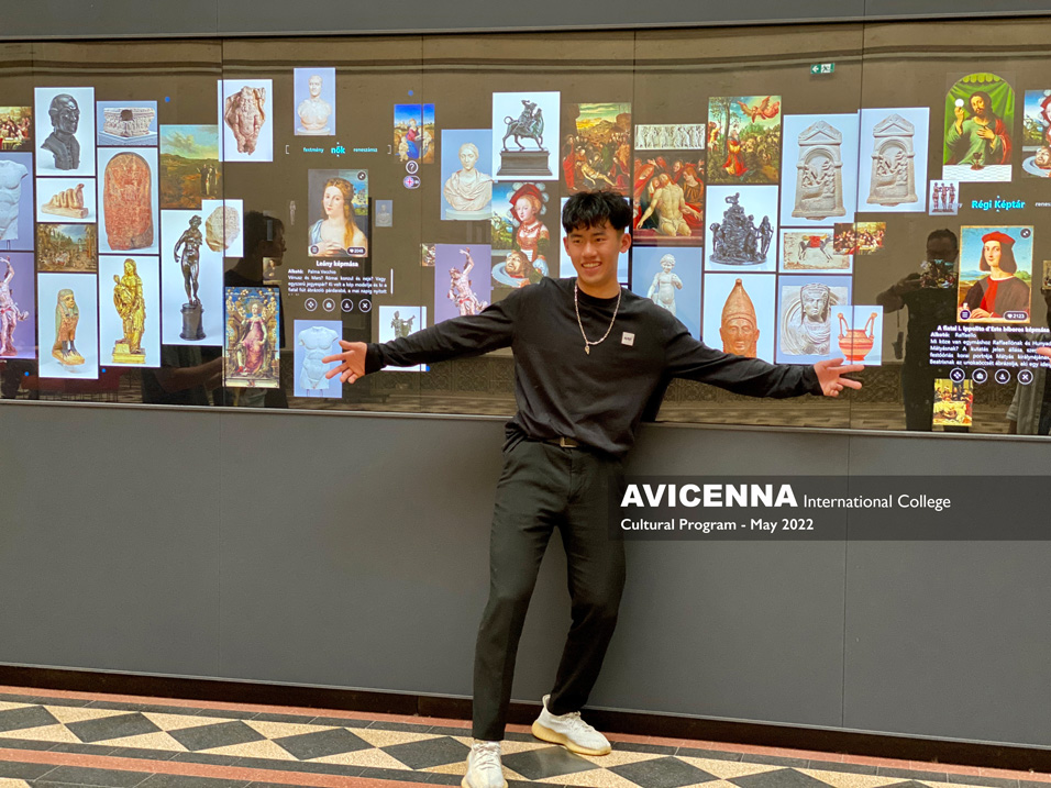 aic-museum-of-fine-arts-010