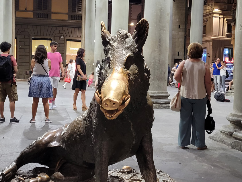 aic-erasmus2-florence2-015