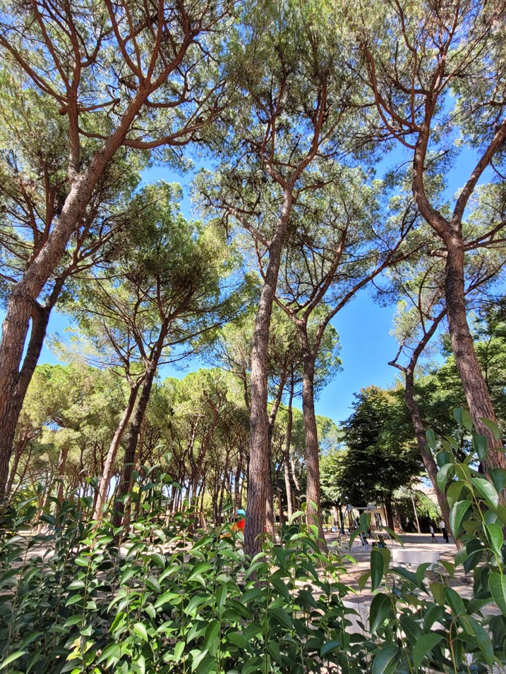 Foligno, the city in Umbria – aic (31)